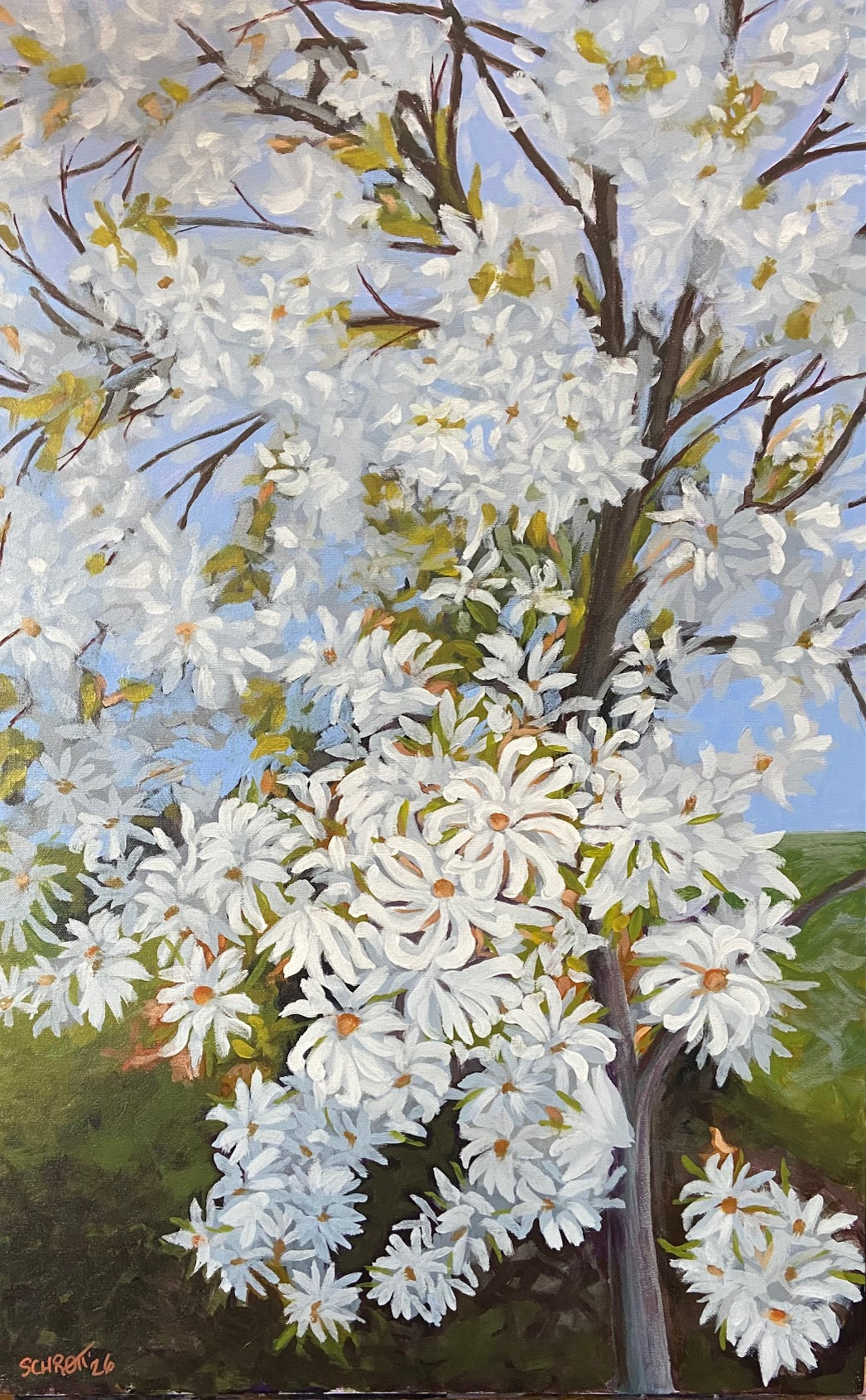 Spring's Renewal